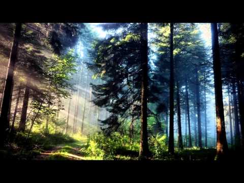 Chiyoko // Why Can't I Think When I Talk To You