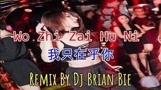 Download lagu Wo Zhi Zai Hu Ni - 我只在乎你 (Electro Manyao) By Dj Brian Bie #dj抖音版2023 mp3 Download lagu Wo Zhi Zai Hu Ni - 我只在乎你 (Electro Manyao) By Dj Brian Bie #dj抖音版2023 mp3