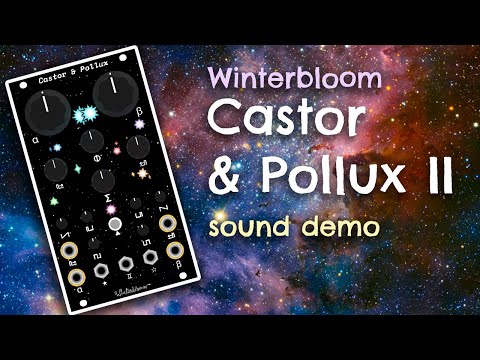 Winterbloom Castor & Pollux II - Sound Demo and First Time Using