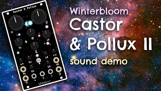Video thumbnail for Winterbloom Castor & Pollux II - Sound Demo and First Time Using by Domi Fotaro