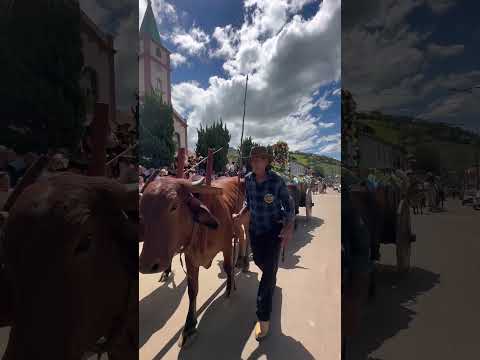 Encontro de Carreiros em São João da Mata MG