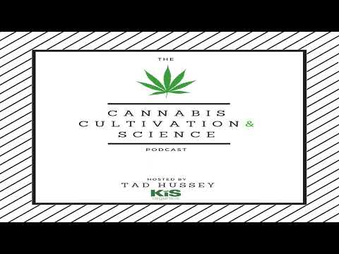 Episode 94: The Full Sensory Experience with Jeremy Plumb