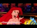Harmony Little Mermaid Cover