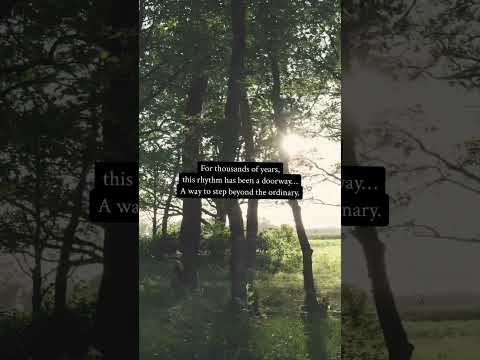 Close your eyes. Feel the drum. See where it takes you. 🪘🌲🐦‍⬛✨  #shamanicdrumming