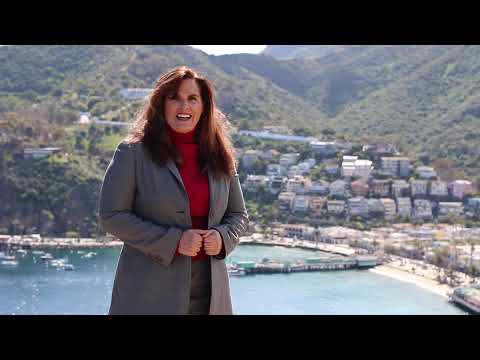 Karen A. Brako For Judge