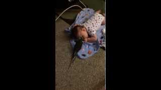 Strugs Jr. BeastMaster tames the wild Pinche