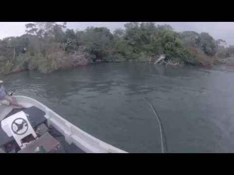 FLy FiShiNg PaCu iN ItA IbAtE - CoRRiEnTeS - ArGeNtiNa