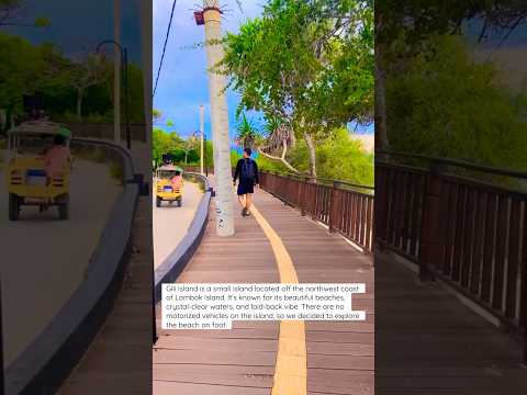 Day 6 in Gili Trawangan Balis party island “😍 #bali #shortvideo #explorebali