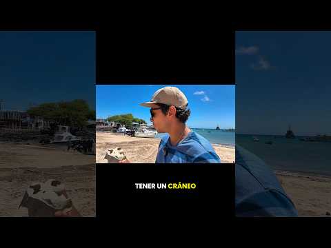 Visitando la isla de los lobos en Galápagos
