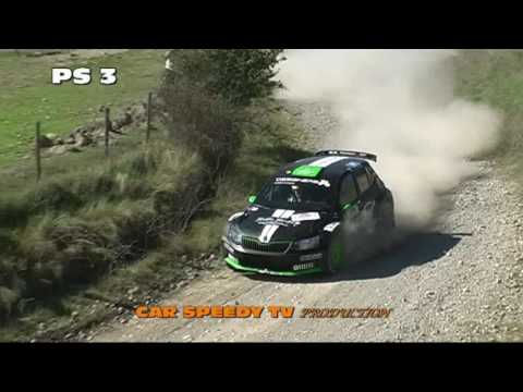 RALLY DELLA VAL D'ORCIA 2016 HOELBLING GRASSI SKODA FABIA R5