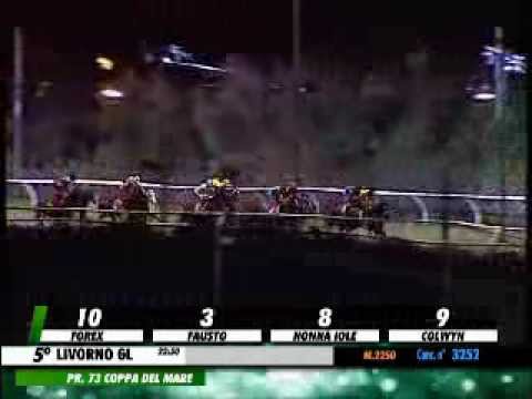 73^ Coppa del Mare (HANDICAP PRINCIPALE)