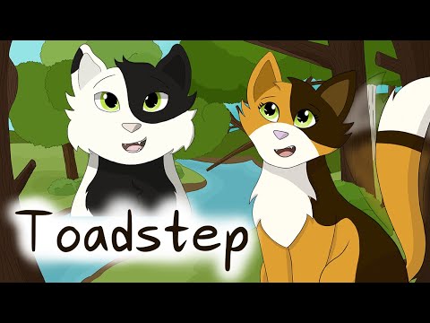 Toadstep – Sunny's Spiel | Warriors Analysis