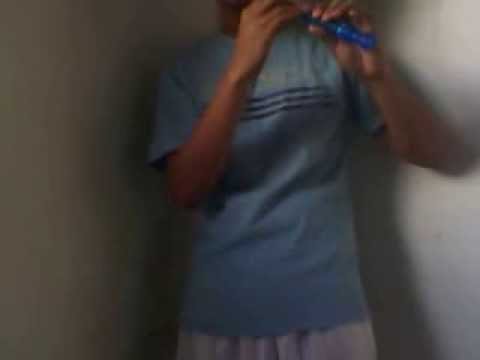 Payphone (Maroon 5) - Flute recorder cover