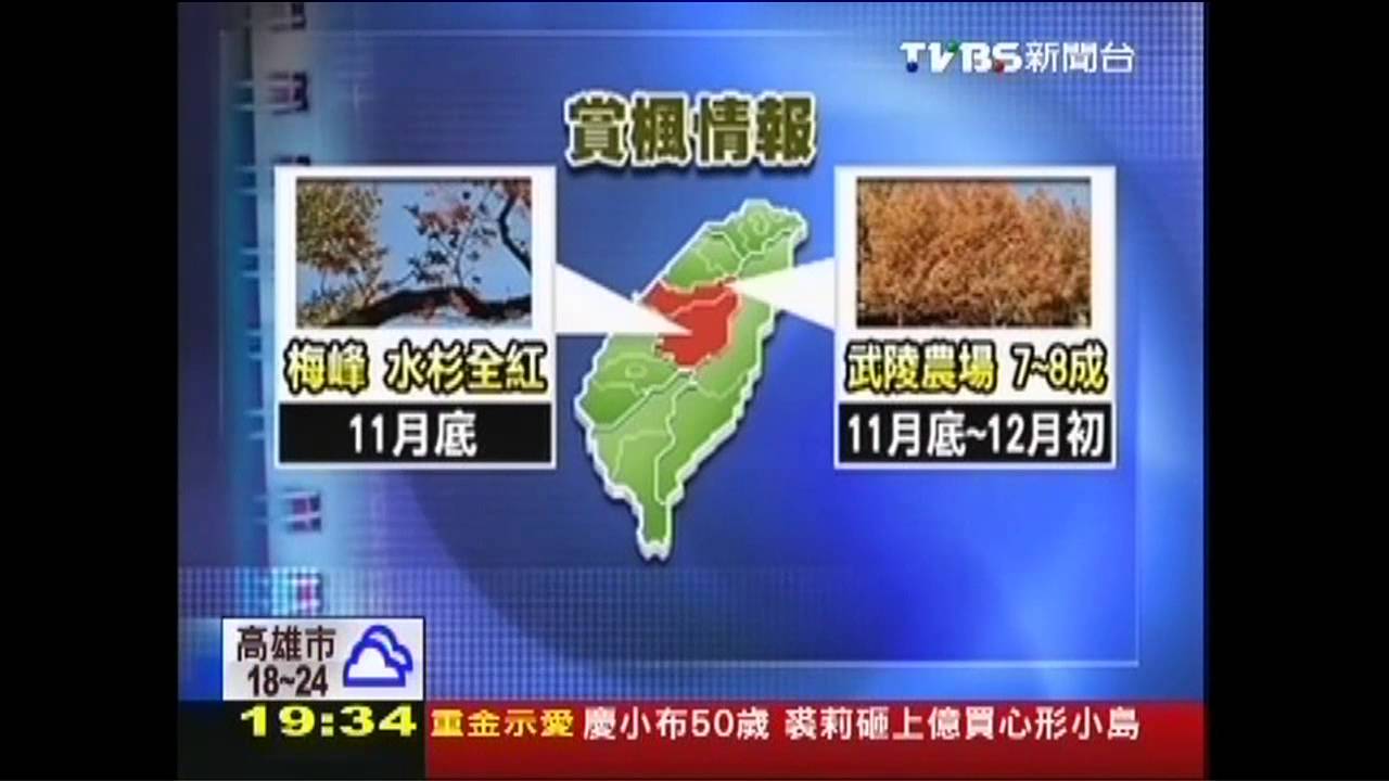 梅峰奧萬大楓紅5成 賞楓季報到
