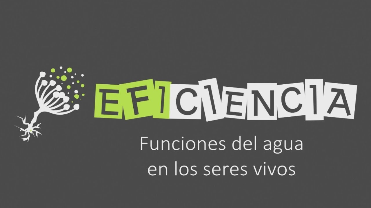 FUNCIONES DEL AGUA EN LOS SERES VIVOS Reactivo Transporte Estructural Amortiguadora Termorreguladora