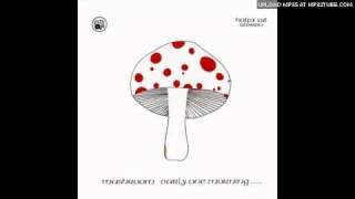 Mushroom - Devil Among The Tailors