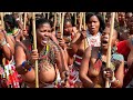African Traditional Zulu Dance
