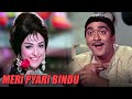Padosan Best Scenes Sunil Dutt Aur Saira Bano Ki Cute Love Story Classic Hindi Comedy Movie
