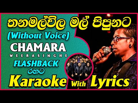 Thanamalwila Mal Pipunata Karaoke (Without Voice) Flashback Live with Lyrics | Chamara Weerasinghe