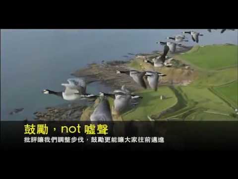 雁 意思