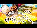Dilo Costa Anganmana Sumana Official Music Video
