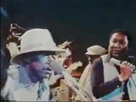 Muddy Waters, John Lee Hooker, Johnny Winter - I Just Wanna Make Love To You