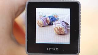 写真撮影後にピント合わせができるカメラ「Lytro」でいろいろ 写真撮影後にピント合わせができるカメラ「Lytro」でいろいろ