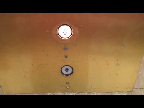 Otis Traction Elevator @ Macy's - State Street - Chicago, IL