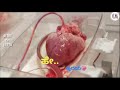 Hey Hrudaya Hrudaya Hrudaya Movie Whatsapp Status Video