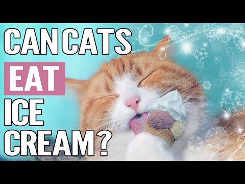 YouTube video about: Can cats have pistachio ice cream?