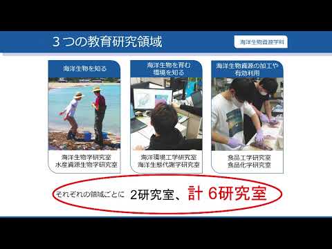 【福井県立大学】海洋生物資源学科　兼田学科長