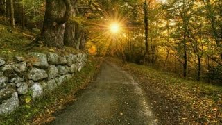 The Town I Loved So Well