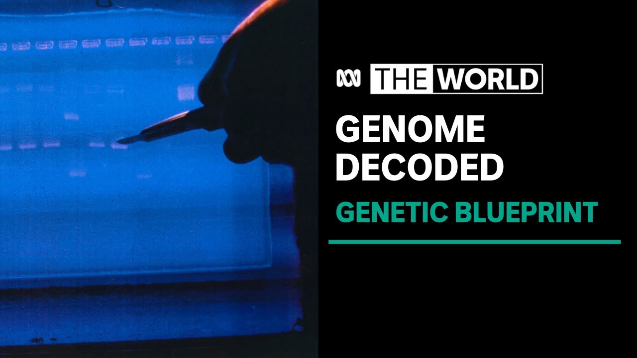 Scientists finally decode the first complete human genome | The World