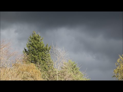 Time-lapse 25/04/2016