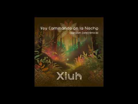 Voy Caminando en la Noche  [ Version Folktronica ]