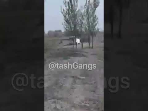 МУЛЛА БОБА
