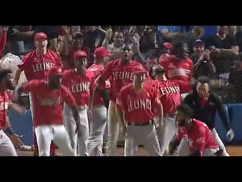 "I CAN'T BELIEVE IT!" A HUGE home run for Junior Caminero in Game 7 of the LIDOM championship!