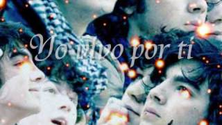 hola mundo/ Hello world - Belle Perez con letra en español