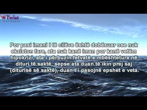 Nënvlerësimi i fetvave dhe dijetarëve - Feuzan