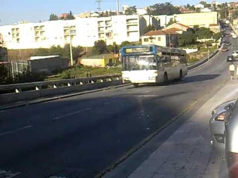 Autocarro da STCP ( O405N2 )