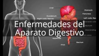 Médico Gastroenterólogo de Guadalajara - Nallely Deshire Castañeda Huerta