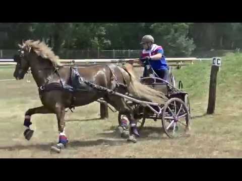VIDEO Dostihový spolek - Závody spřežení 2016 aneb mistři opratí v akci - záloha