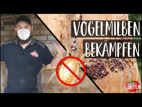 Milben im Hühnerstall bekämpfen! | So gehts! | Freizeit Garten