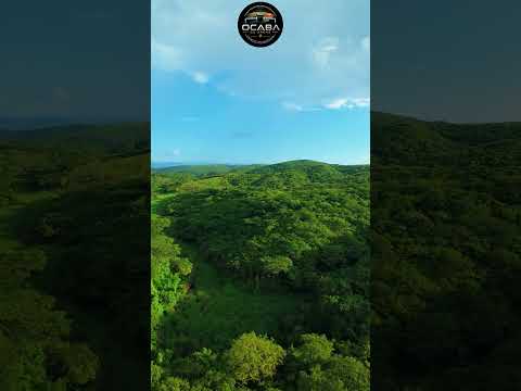 As Serras Mais Lindas do Nordeste #drone #paisagemnatural #sol #riograndedonorte #viral #foryou
