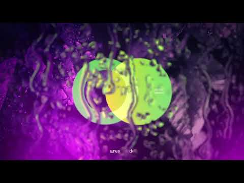 Atribút -  Composite (Original Mix) // AVE011