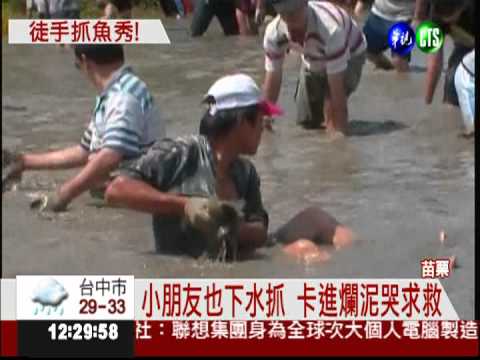 抓到免費帶回家 700隻魚人人搶