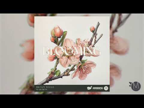 Bronze Whale x Martron - Blooming [Official Audio]