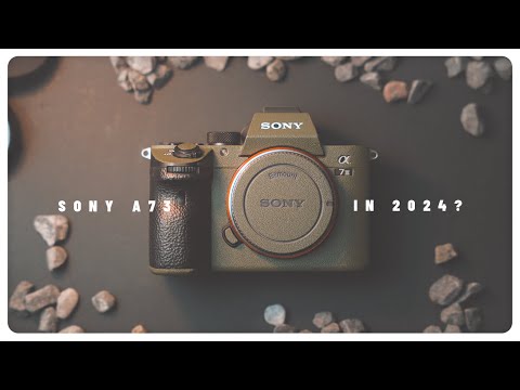 Sony A7iii: Still Relevant in 2024? | 5 Years After Release
