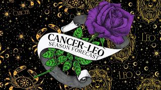 cancer leo cusp 𖧷 leo season forecast 𖧷 timeless tarot reading 🌹