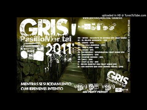 05 - HACHE - 2011 - GRIS